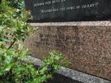image of grave number 429329